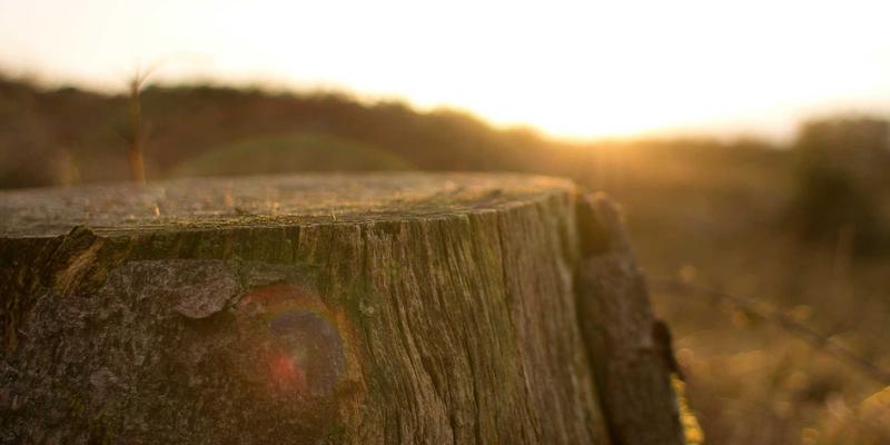 土耳其不止有卡帕多奇亚！探秘爱琴海秘境：博兹贾岛与马尔马里斯跳岛全攻略